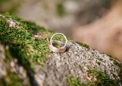 Eheringe auf einem Baumstamm bei einer Hochzeit
