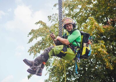 Baumpfleger bei Arbeiten in großer Höhe mit Kletterausrüstung